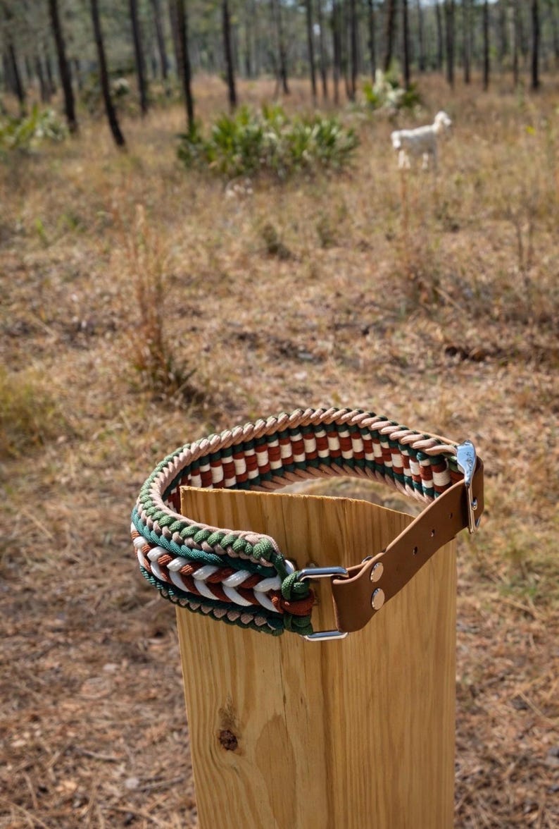 May include: A handcrafted dog collar with a braided design in green, white, brown, and red. The collar features a brown leather strap and a silver-colored buckle. The collar is displayed on a wooden post outdoors.