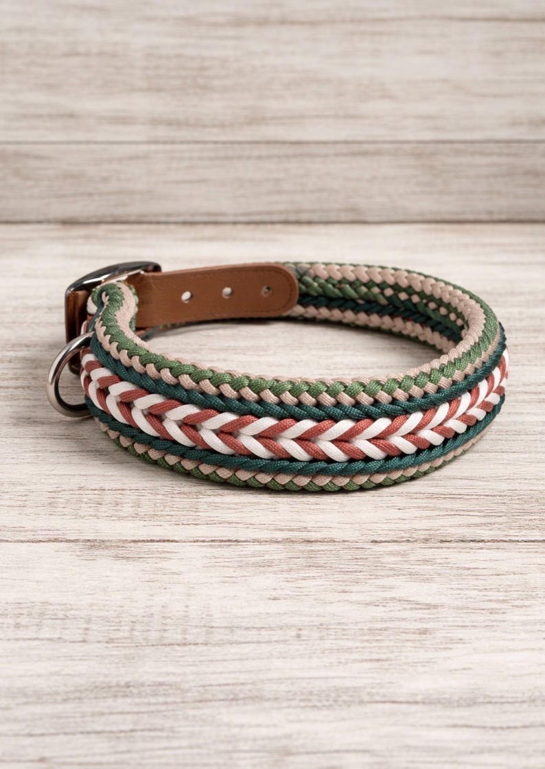 May include: Braided dog collar with a brown leather buckle and a metal D-ring. The collar features a woven design in shades of green, white, and red. The collar is approximately 1 inch wide.