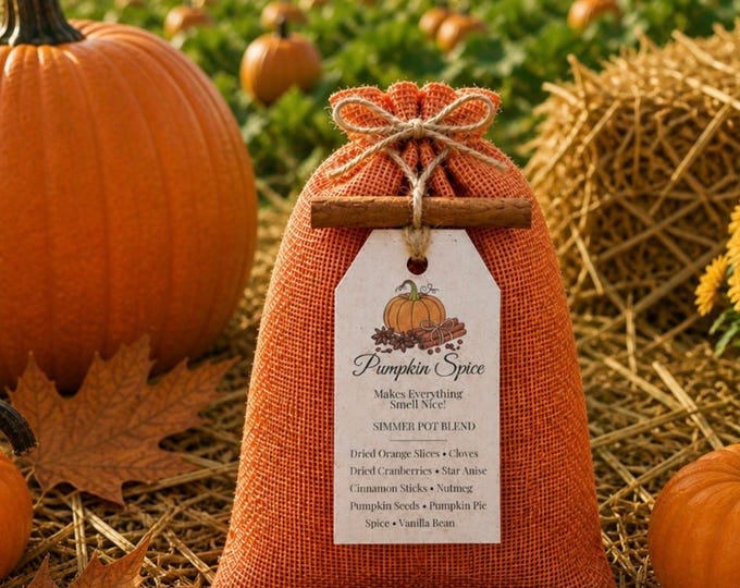 Pumpkin Spice - Makes Everything Smell Nice! Simmer Pot Blend – Natural Fall Home Fragrance Kit