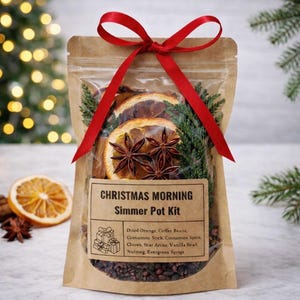 Christmas Morning Simmer Pot Kit: Coffee Bean, Spice & Evergreen Blend
