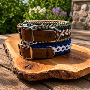 May include: Two braided dog collars. The top collar is brown, green, and white. The bottom collar is blue and white. Both collars have brown leather nameplates with silver buckles. The top collar says "KODA" with a bear graphic. The bottom collar says "COBALT" with a tree graphic.