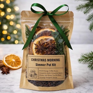 Christmas Morning Simmer Pot Kit: Coffee Bean, Spice & Evergreen Blend