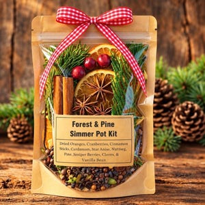 May include: A clear pouch containing a Forest & Pine Simmer Pot Kit with dried oranges, cranberries, cinnamon sticks, star anise, pine, and juniper berries. The bag is sealed with a red and white gingham ribbon bow at the top.