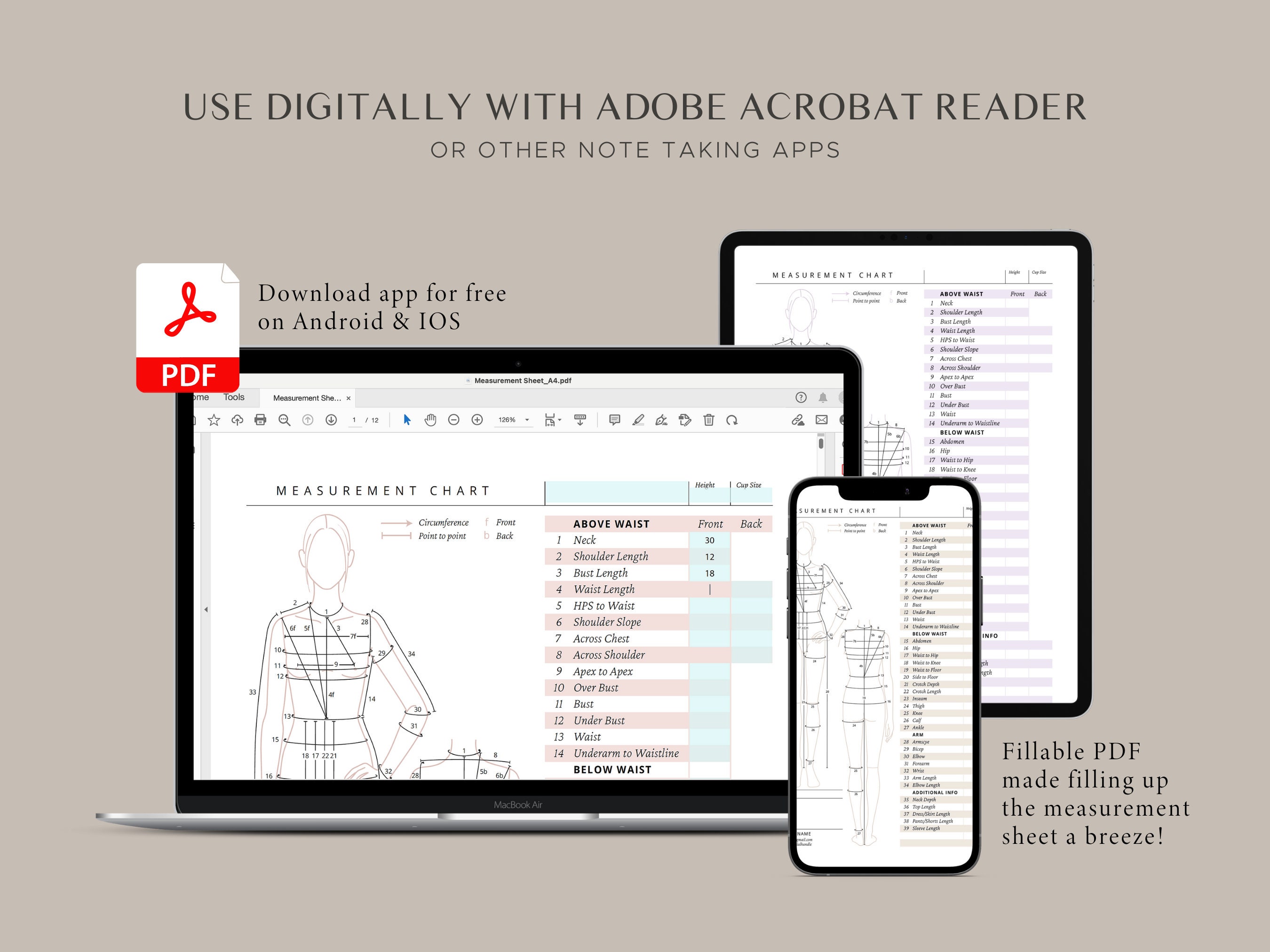 Printable Body Size Chart Fillable Women Measurement Template Light