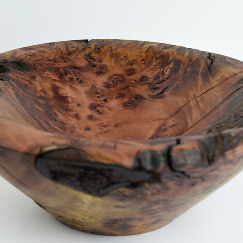 Tasmanian Myrtle burl bowl, unique wooden Bowl, wooden shops burl bowl, IVwoodturning