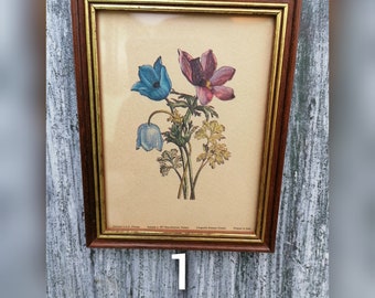 Vintage Wooden Frame with antique flowers print, Italian Print of Flowers,Small Square Wall Frame,Floral print in Frame,Flower bucket print