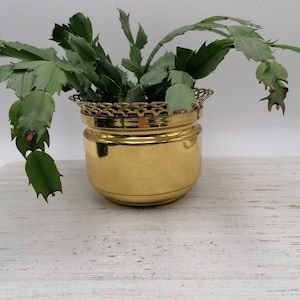 May include: A gold metal planter with a decorative rim, holding a green cactus plant. The planter is sitting on a white wooden surface.