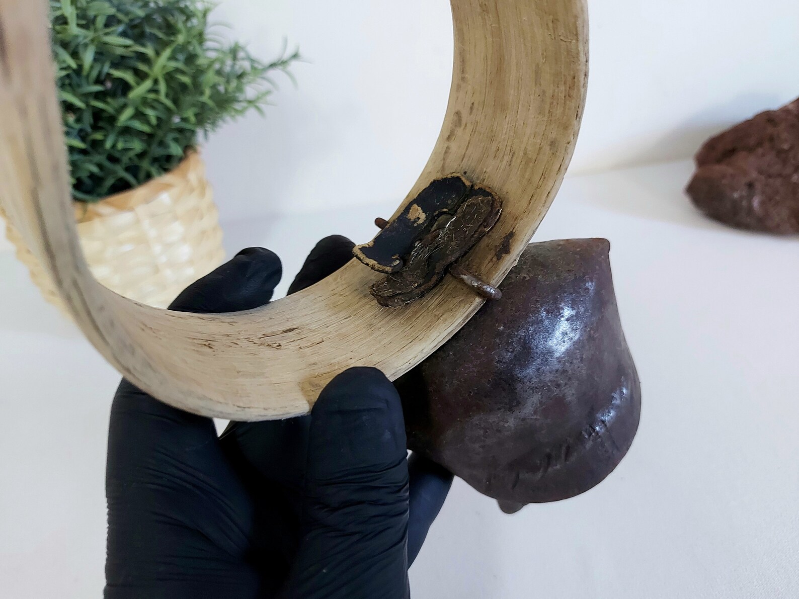 Antique Sheep Bell With Wooden Strap Animal Collar Bell Cow Etsy