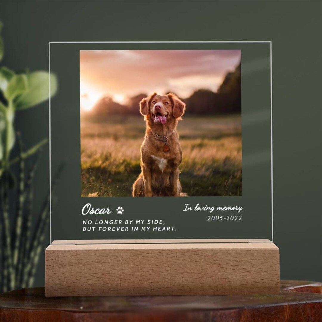 Personalized PET MEMORIAL Acrylic Plaque LED Light With Stand Gift-pet ...