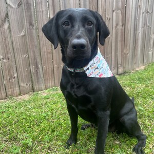 Dog Bandana, Over the Collar Bandana, Pet Bandana