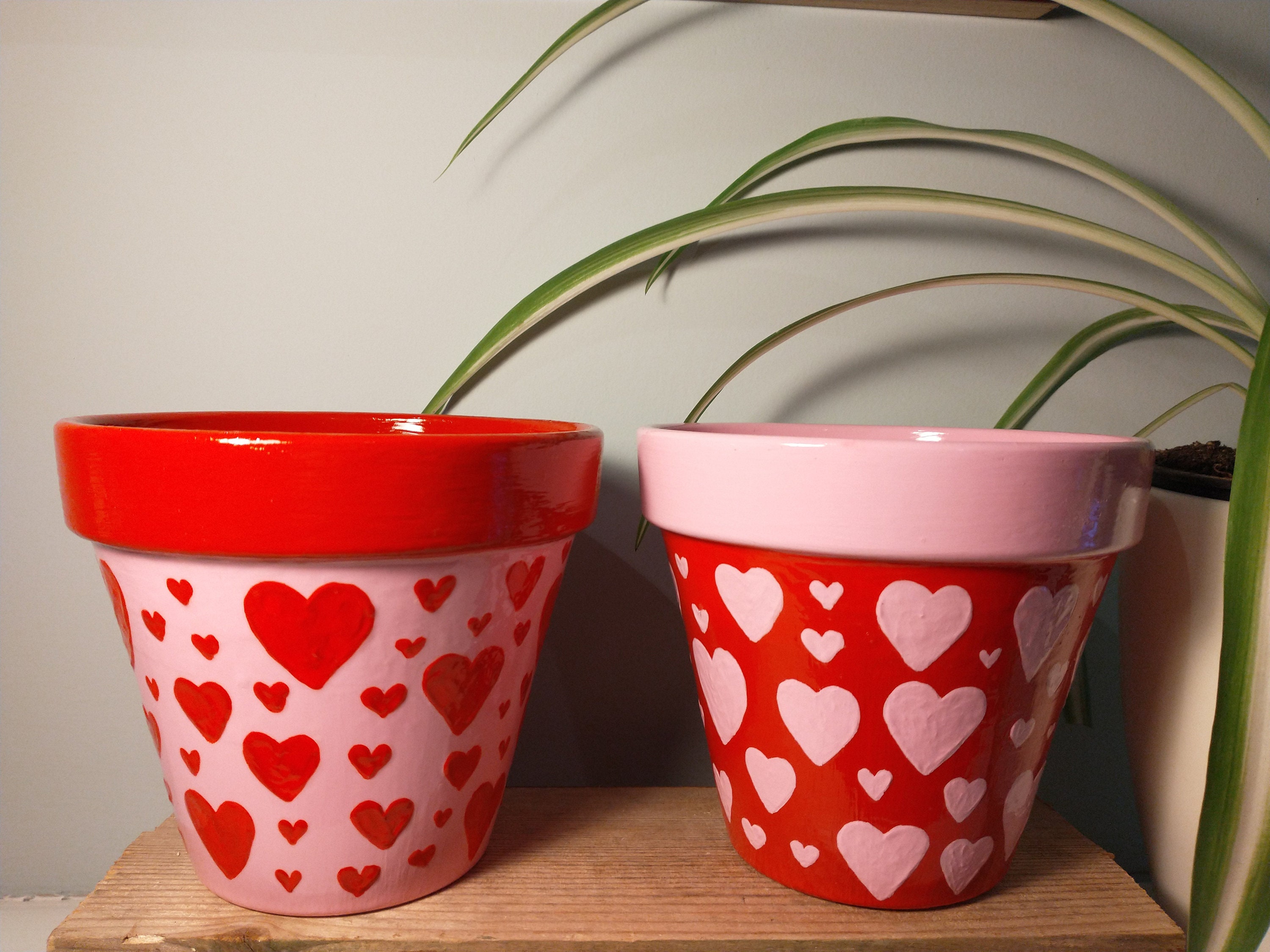 Valentine's Day HandPainted Heart Plant Pot Etsy