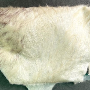 Hair on Cowhide White or Off White Leather Scrap  - 2 pounds 1-4 pieces per bag, various sizes.