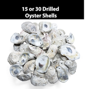 Drilled Oyster Shell Craft Supply Beach Decor Coastal Style Nautical Decoration Wedding Centerpiece Seashell Art Ocean Theme Beach House