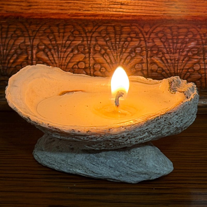 Shell Candle - Etsy