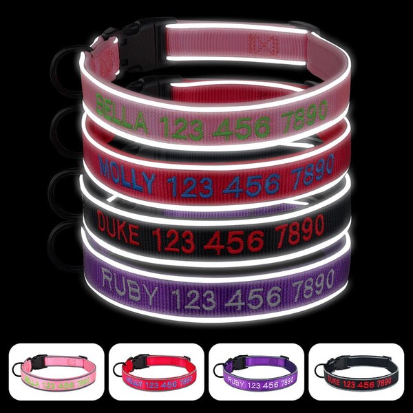 Embroidered Dog Collar With Name and Number Etsy