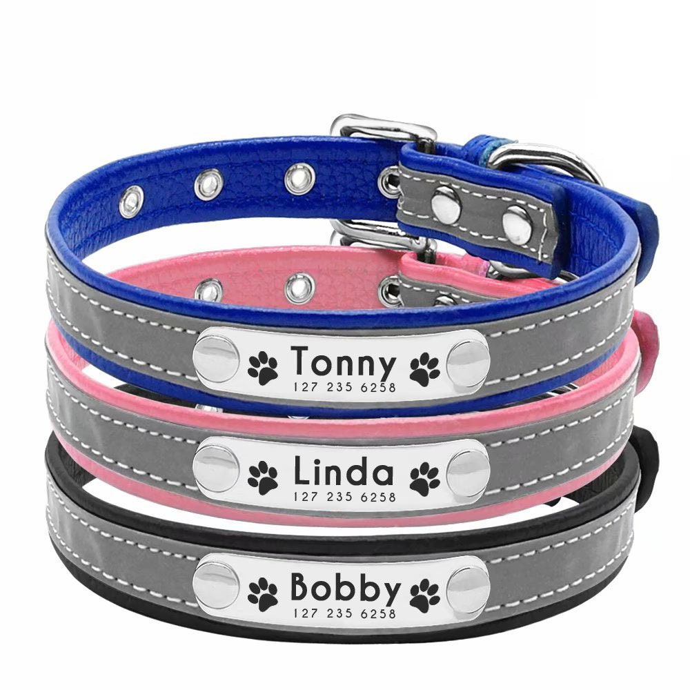 Personalized Dog Collar - Custom Engraved ID Tags with Reflective Mate –  ExpressPencils