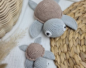 Conjunto de tortuga grande y pequeña