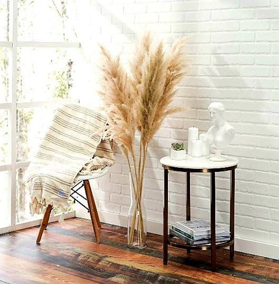 Bouquets de Grandes Tiges d'herbes Pampa 100 cm Fleurs Pampas Fleurs Séchées Fluffy Décoration Intér