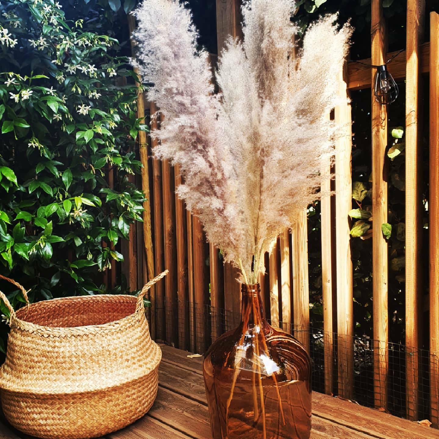 Bouquets de Grandes Tiges Pampas Séchées, 100 cm, Fleurs Séchées Grises Fluffy Décoration Intérieur 