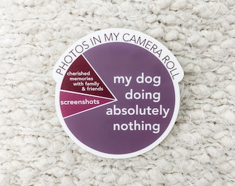 Funny Dog Mom Sticker: Camera Roll Pie Chart