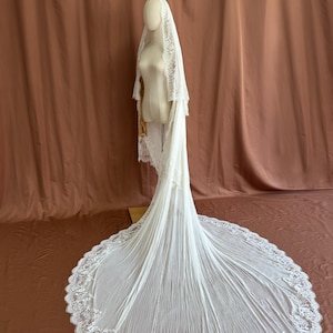 Puede incluir: Un velo de novia blanco con una larga cola, exhibido en un maniqu&iacute;. El velo presenta un delicado ribete de encaje y un dise&ntilde;o plisado y fluido. El maniqu&iacute; se encuentra sobre un fondo marr&oacute;n.