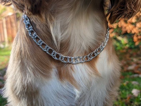Lightweight chain dog leash discount
