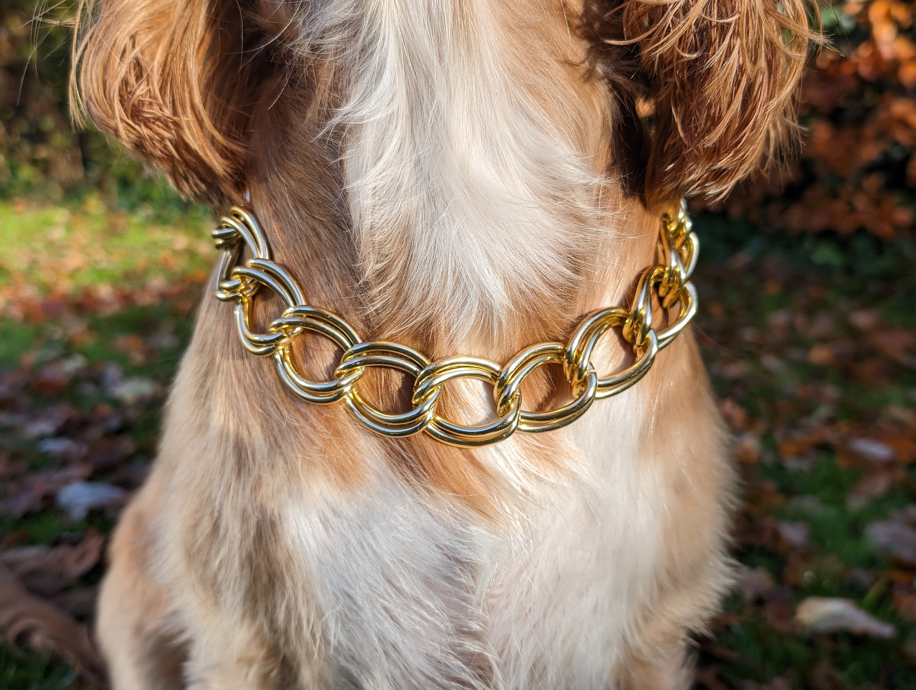 Gold Dog Chain 24mm Curb Link Chain Dog Collar Lightweight Chunky Chain Dog puppy Chain Pet Gifts Streetwear Chain for Dogs Etsy Canada