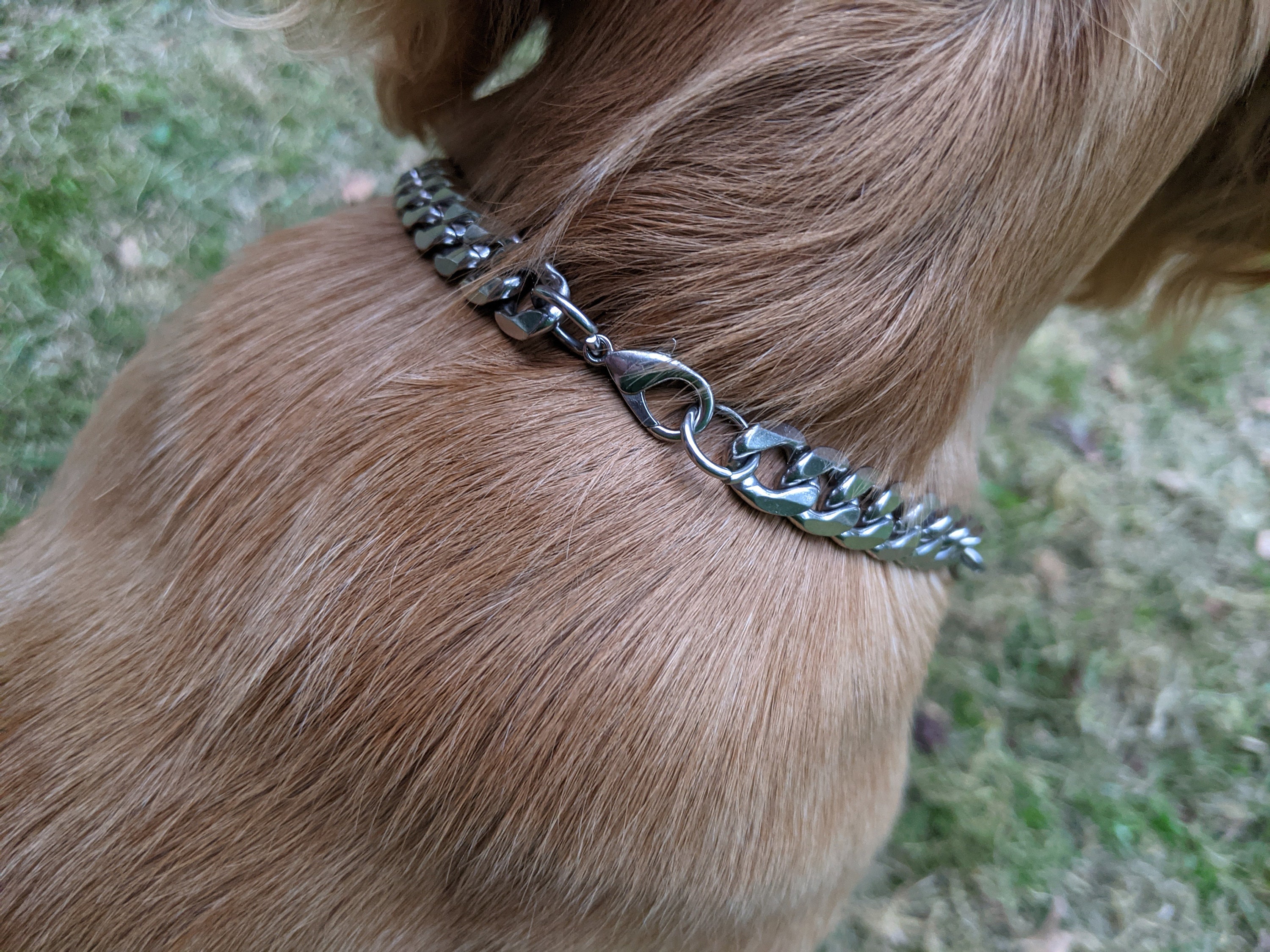 Sterling silver dog chain cheap collar