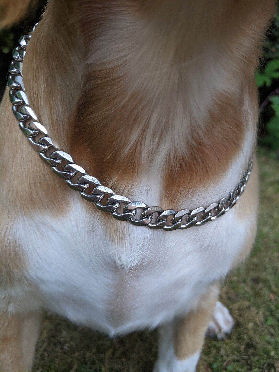 Silver Dog Chain 10mm Curb Chain Dog Collar Streetwear Etsy UK