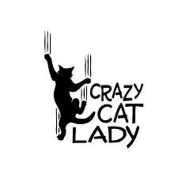 Crazy Cat Lady Car/Window Vinyl Decal High Quality Oracal 651 Etsy