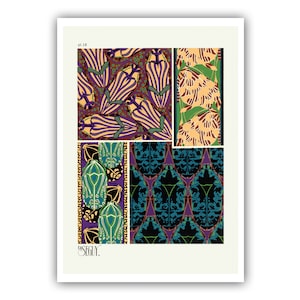 Emile-Allain Seguy : "Insects - Plate 18", c. 1926 - Museum Quality Giclee Print / Canvas