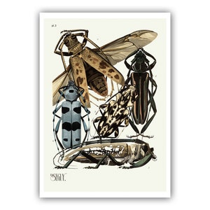 Emile-Allain Seguy : "Insects - Plate 3", c. 1926 - Museum Quality Giclee Print / Canvas