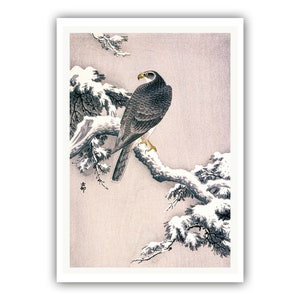 May include: A black and white Japanese woodblock print of a hawk perched on a snow-covered pine branch. The hawk is facing right and has a yellow beak. The background is a light gray.