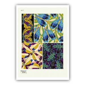 Emile-Allain Seguy : "Insects - Plate 17", c. 1926 - Museum Quality Giclee Print / Canvas