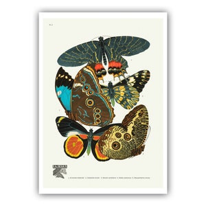 Emile-Allain Seguy : "Papillons - Plate 2", c. 1928 - Museum Quality Giclee Print / Canvas