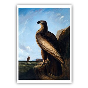 John James Audubon : &quot;Washington Sea Eagle&quot;, 1839 - Museum Quality Giclee Print/Canvas - A4/A3/A2