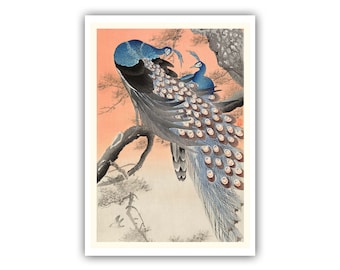 Ohara Koson : "Two Peacocks on Tree Branch", 1900-1930 - Museum Quality Giclee Print/Canvas - A5/A4/A3/A2 - Framed/Unframed