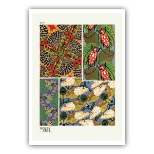 Emile-Allain Seguy : "Insects - Plate 19", c. 1926 - Museum Quality Giclee Print / Canvas