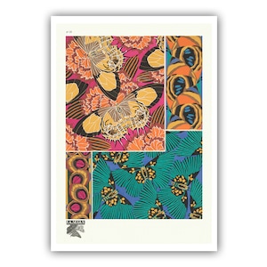 Emile-Allain Seguy : "Papillons - Plate 18", c. 1928 - Museum Quality Giclee Print / Canvas