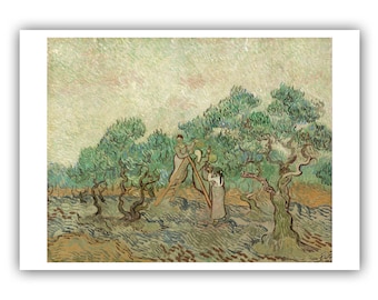 Vincent van Gogh : "The Olive Orchard", 1889 - Museum Quality Giclee Print/Canvas - A4/A3/A2