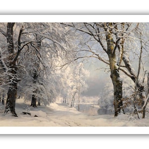 May include: A snowy winter scene with a path leading through a forest of bare trees covered in white snow. The sun shines through the trees, casting a warm glow on the snow.