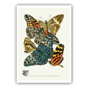 Emile-Allain Seguy : "Papillons - Plate 3", c. 1928 - Museum Quality Giclee Print / Canvas