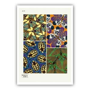 Emile-Allain Seguy : "Insects - Plate 20", c. 1926 - Museum Quality Giclee Print / Canvas