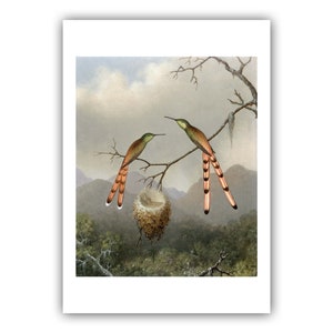 Martin Johnson Heade : Two Hummingbirds with Their Young (c. 1865) - Museum Quality Giclee Print / Canvas