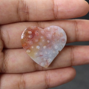 Fossil coral cabochon