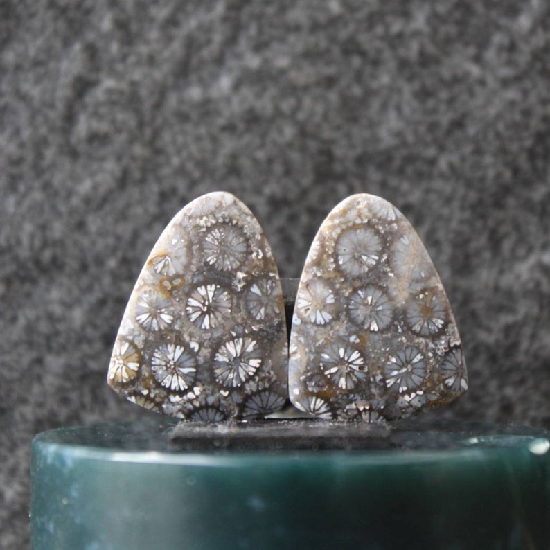 Black Fossil coral pair
