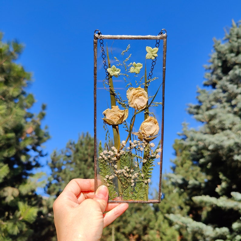 Pressed Flower in Stained Glass. Window Frame Pressed Flowers Pressed