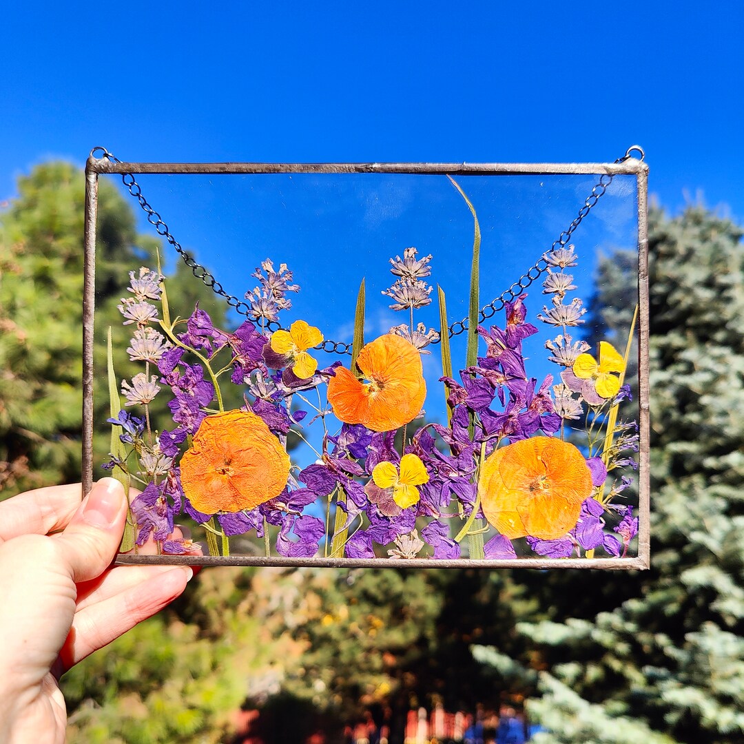 Pressed Flower Frame. Wildflower Herbarium Frame Pressed Etsy