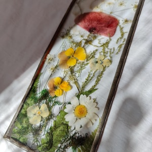 Suncatcher pressed flower frame Cottagecore wall hanging Crocus flower frame farmhouse wall decor