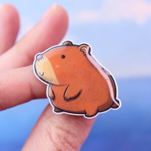 Cute Animal Pin, Gift For Kids